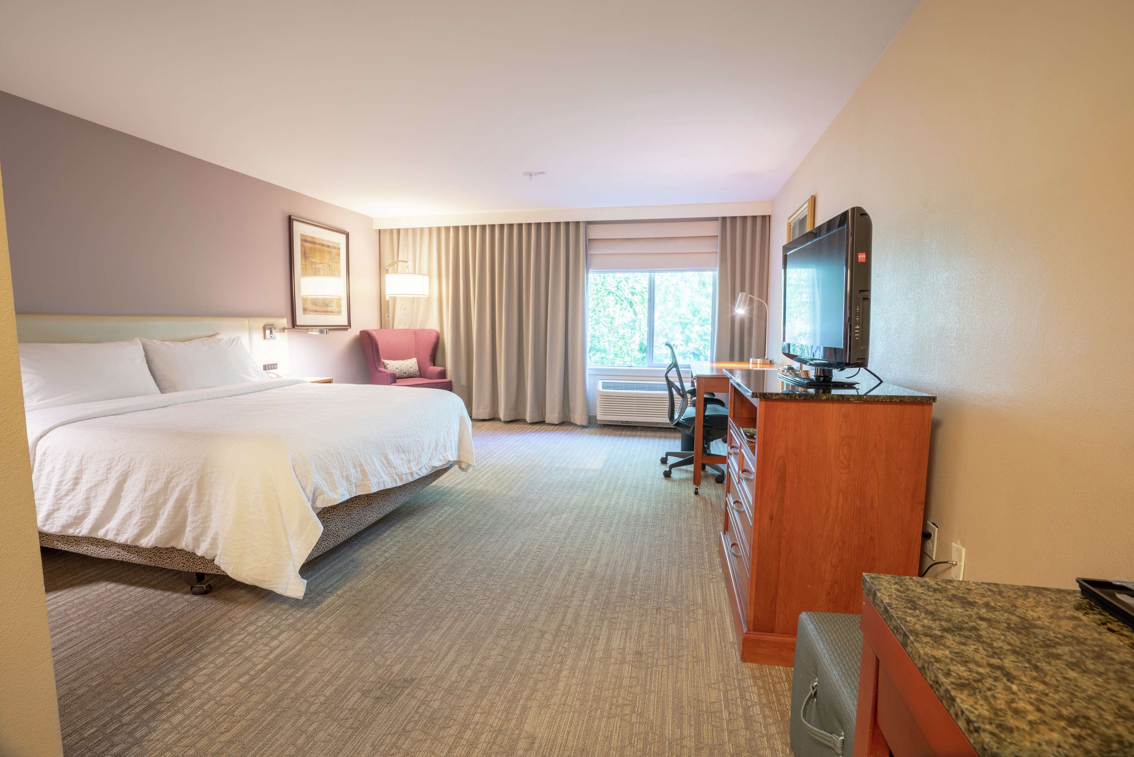 Hilton Garden Inn Seattle/Renton Room Type - 1 KING ACC RM ROLLIN SHWR