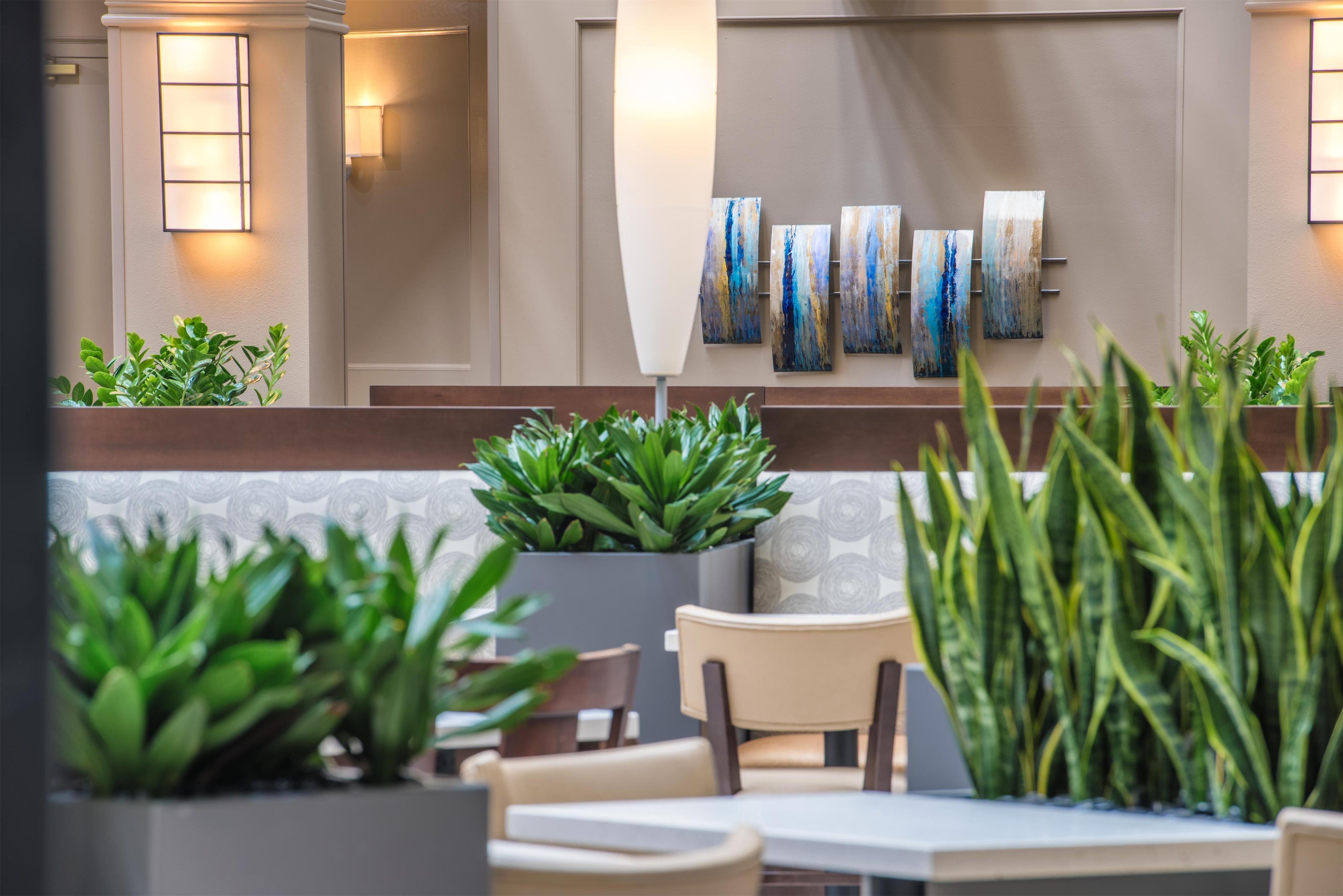 Lobby | Embassy Suites by Hilton Seattle Tacoma International Airport