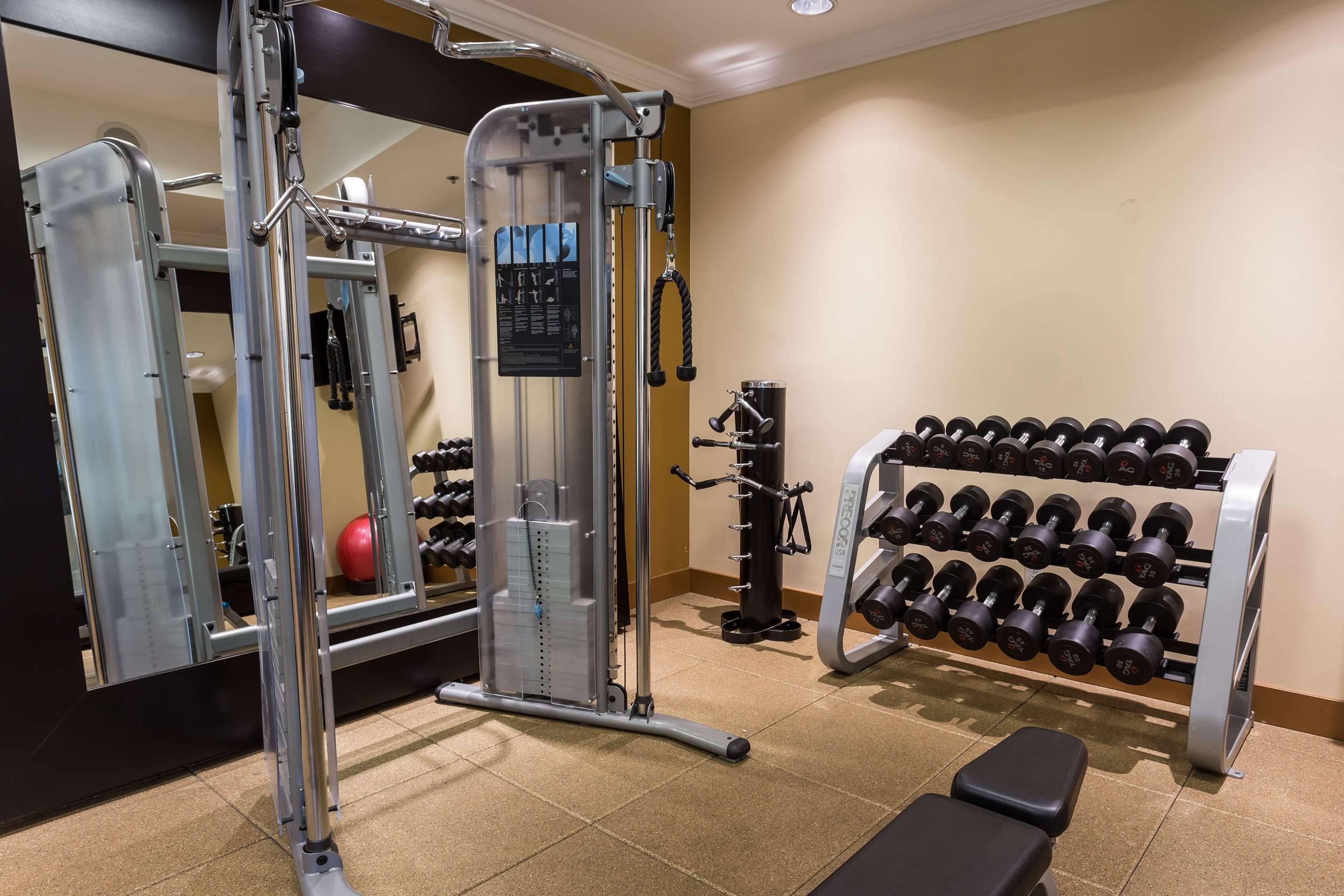Health club fitness center gym