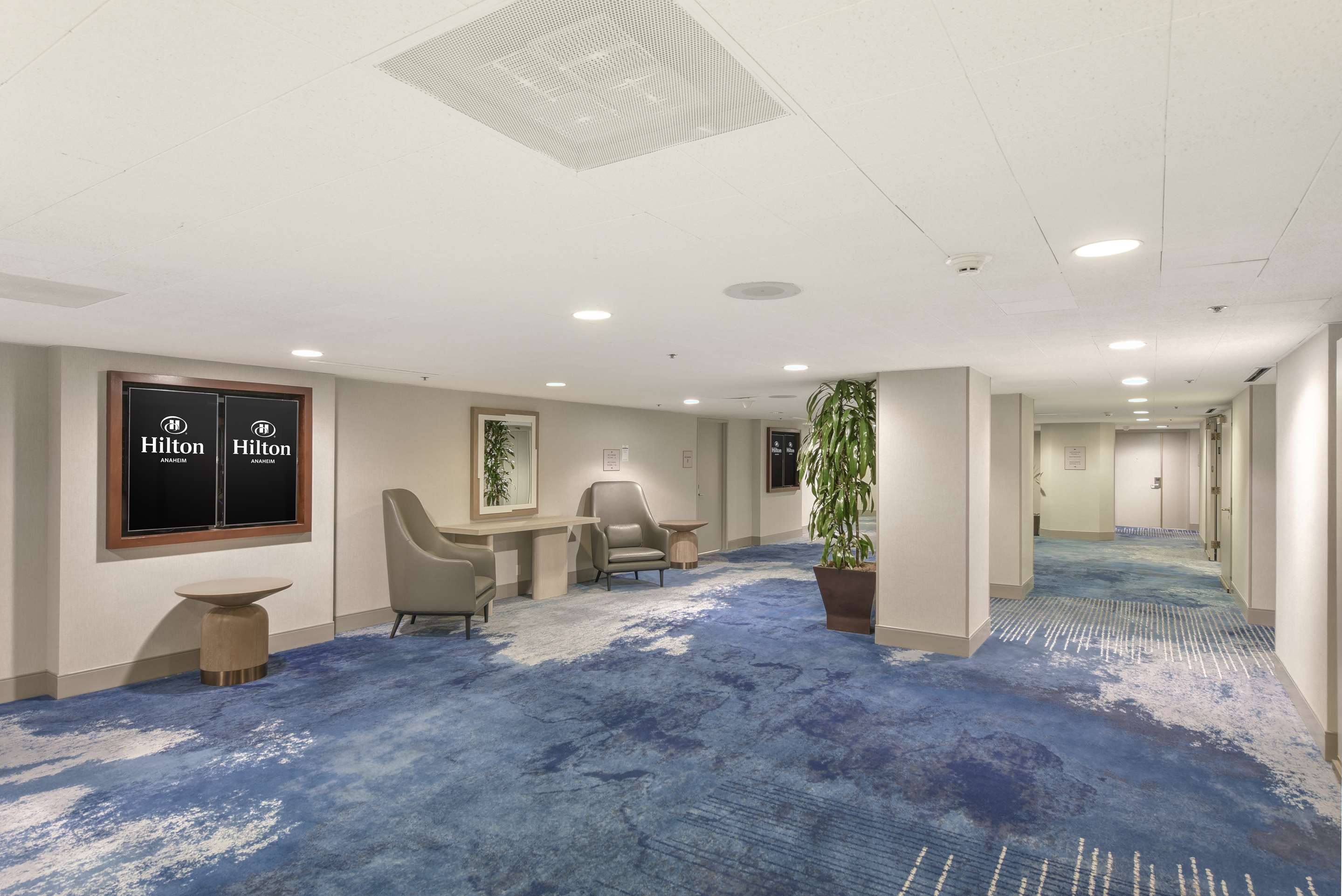 Meeting Room | Hilton Anaheim