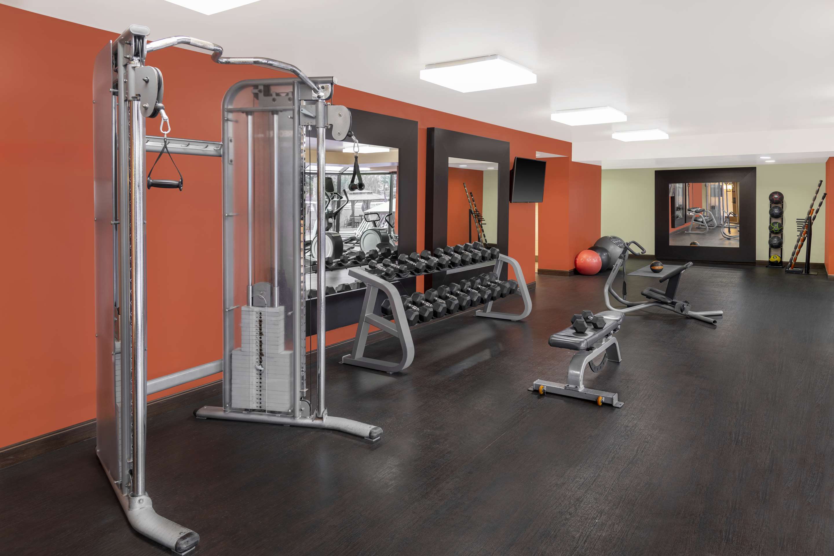 Health club fitness center gym