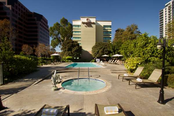 Pool - DoubleTree by Hilton Hotel OC Airport Santa Ana