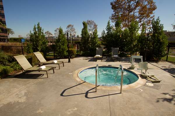 Pool - DoubleTree by Hilton Hotel OC Airport Santa Ana