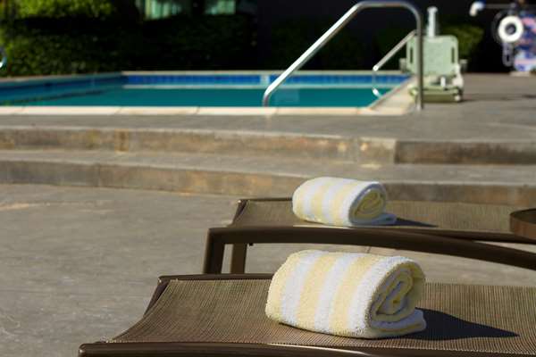 Pool - DoubleTree by Hilton Hotel OC Airport Santa Ana