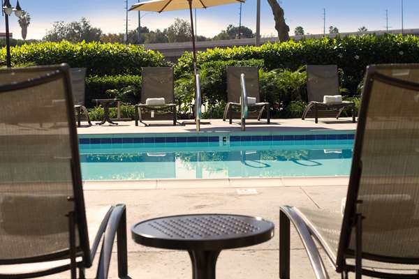 Pool - DoubleTree by Hilton Hotel OC Airport Santa Ana