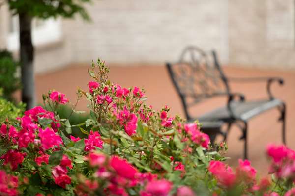 Exterior view - Hilton Hotel Frontenac - I-64, Exit 28A