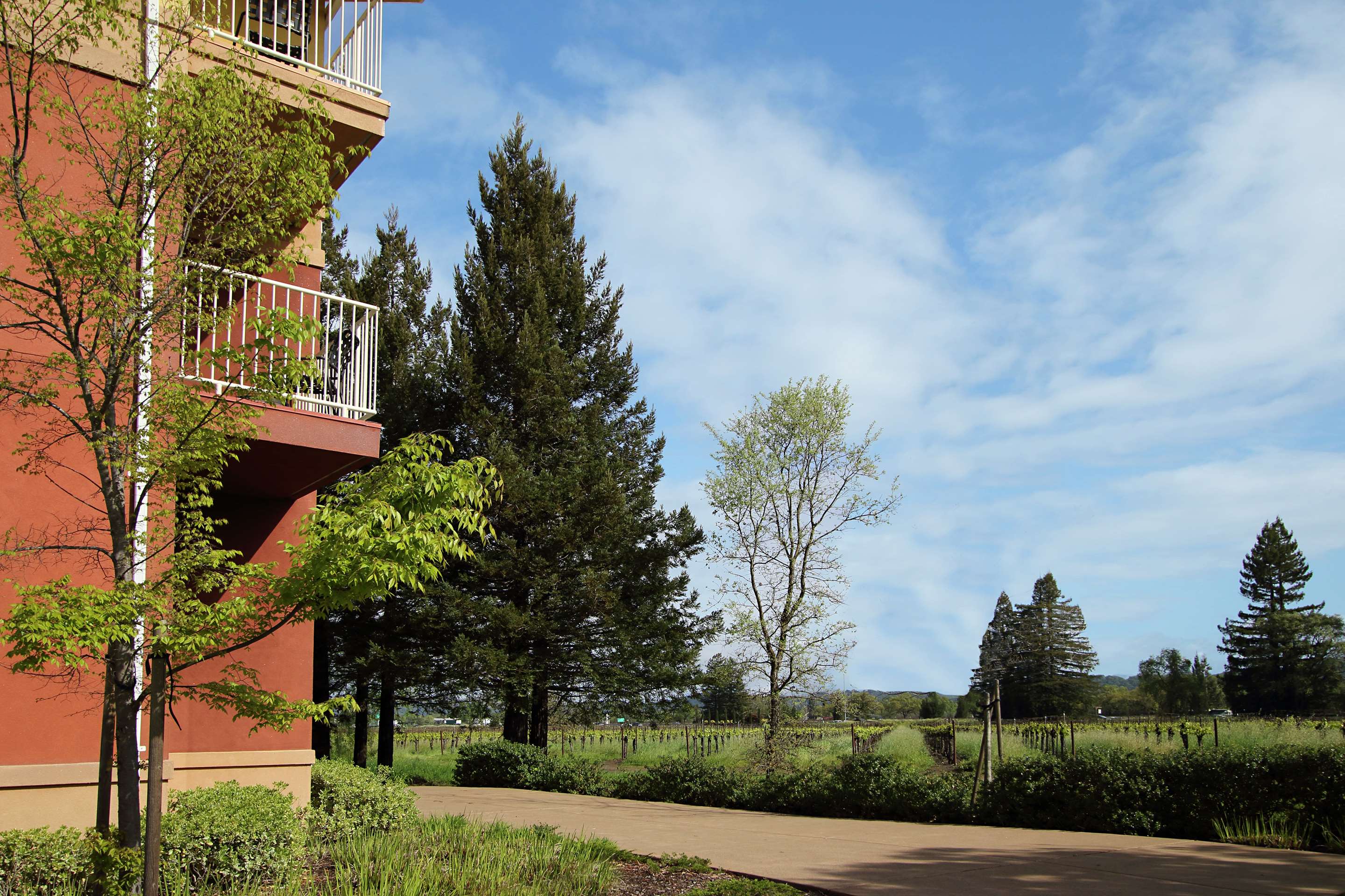 Exterior | Hilton Garden Inn Sonoma County Airport