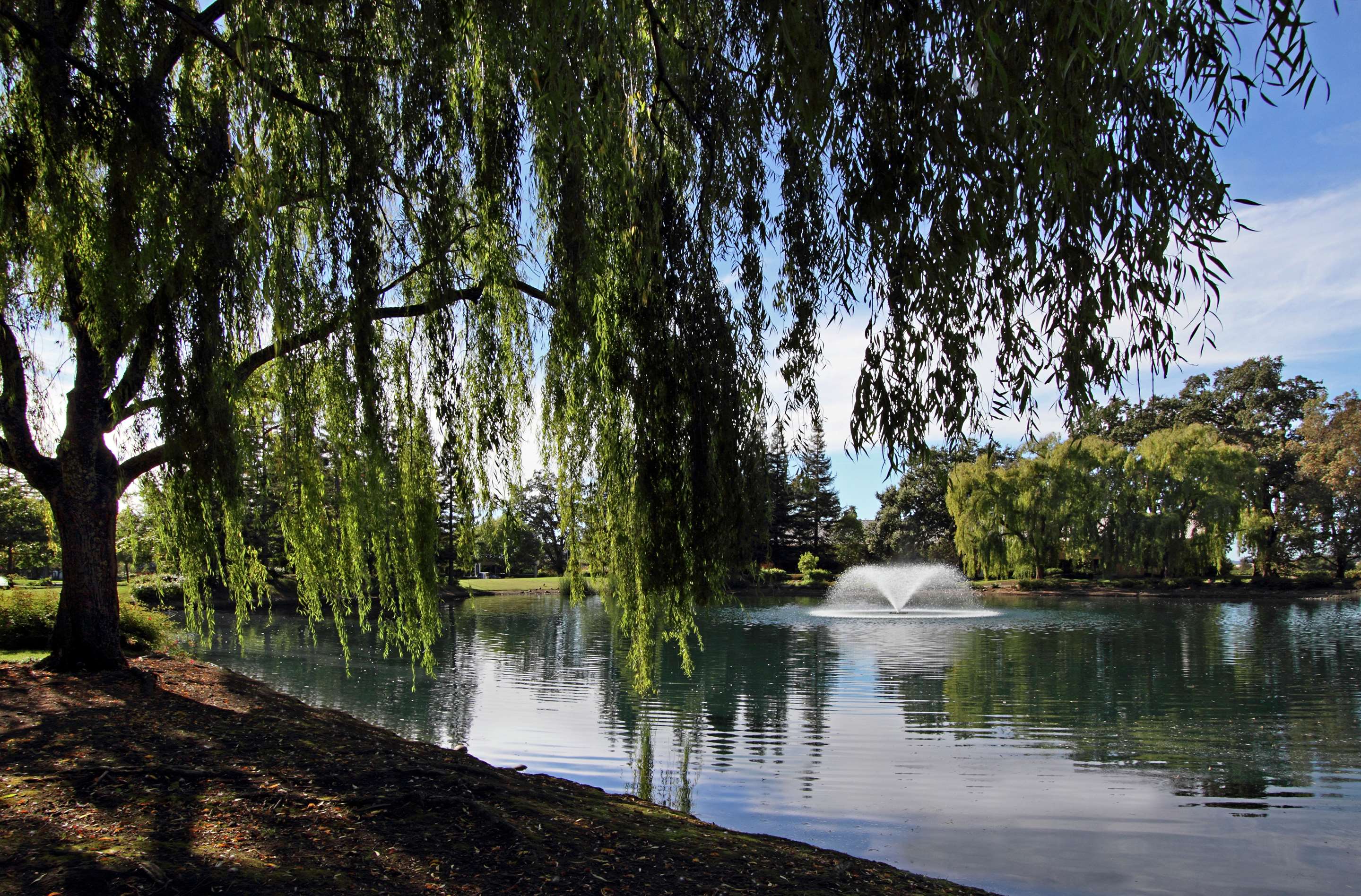Recreational Facility | Hilton Garden Inn Sonoma County Airport
