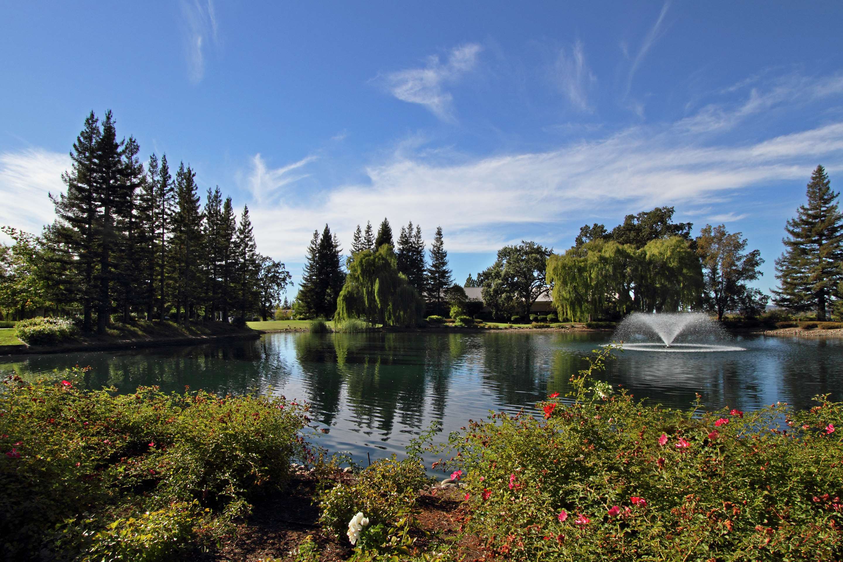 Recreational Facility | Hilton Garden Inn Sonoma County Airport