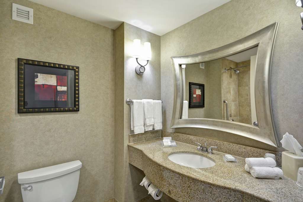 Hilton Garden Inn Toledo/Perrysburg, OH-guestroom-Guest Room,Bathroom,On-Site.jpg