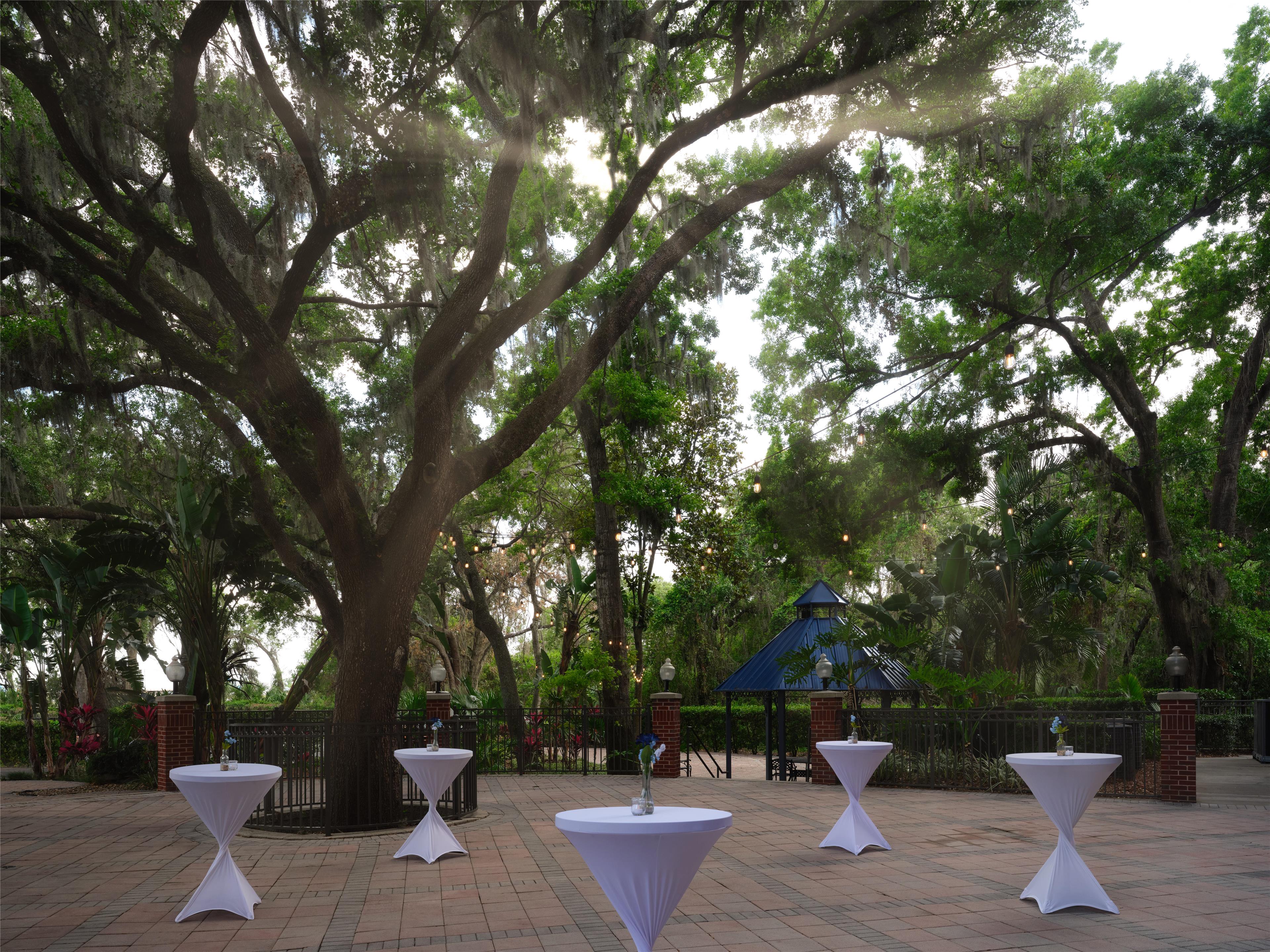 Exterior | Hilton Garden Inn Tampa East/Brandon