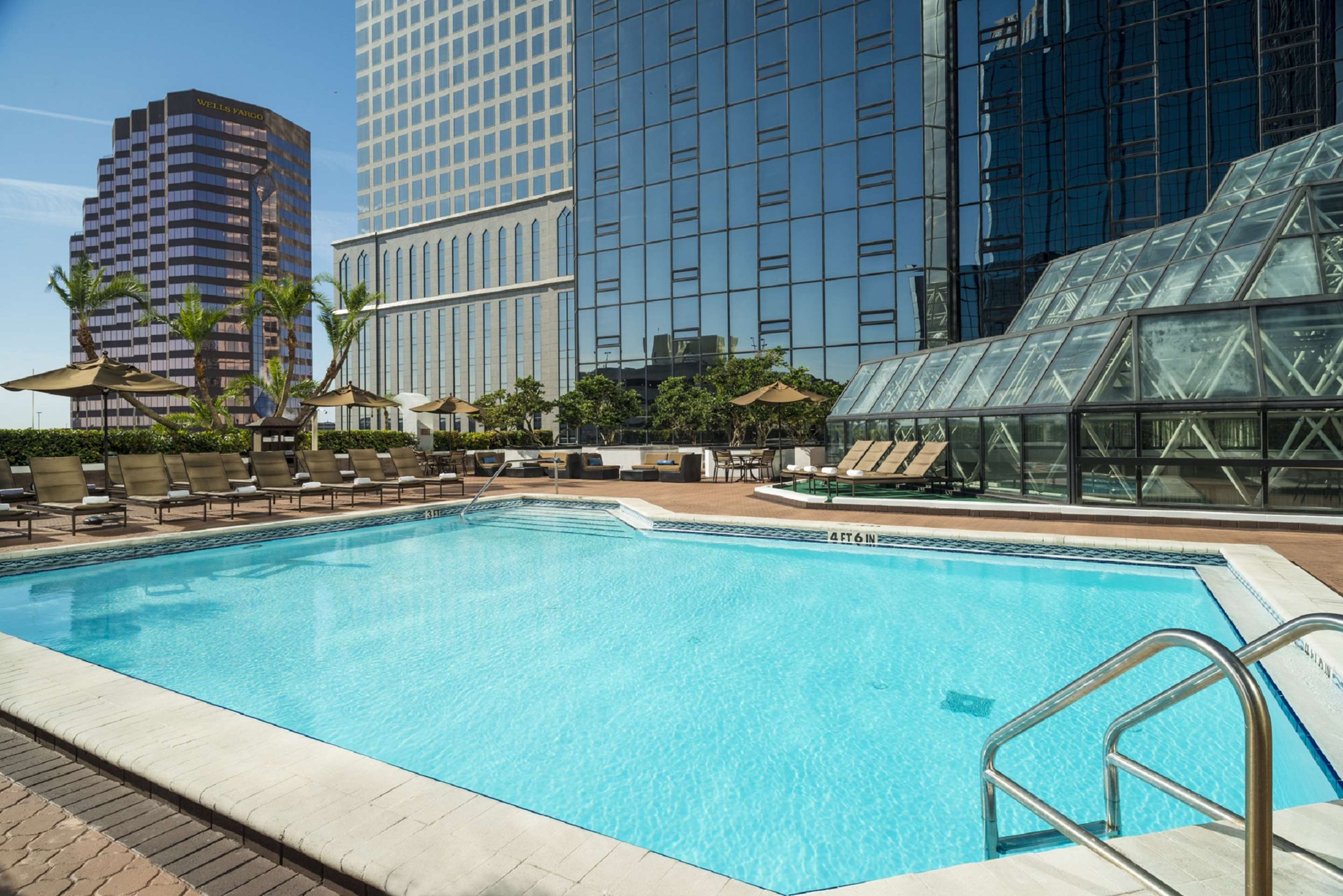 Pool | Hilton Tampa Downtown