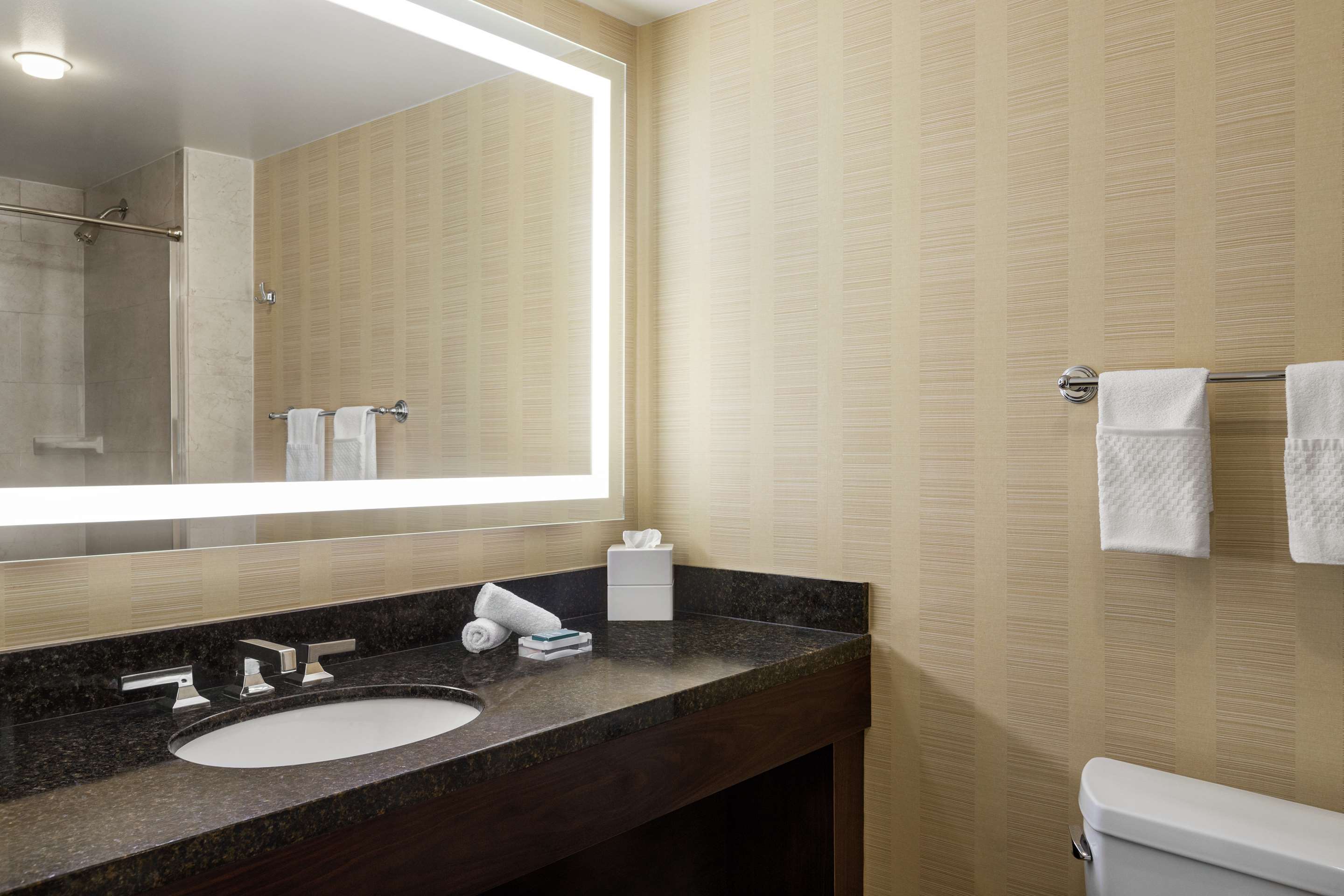 Guest room bath