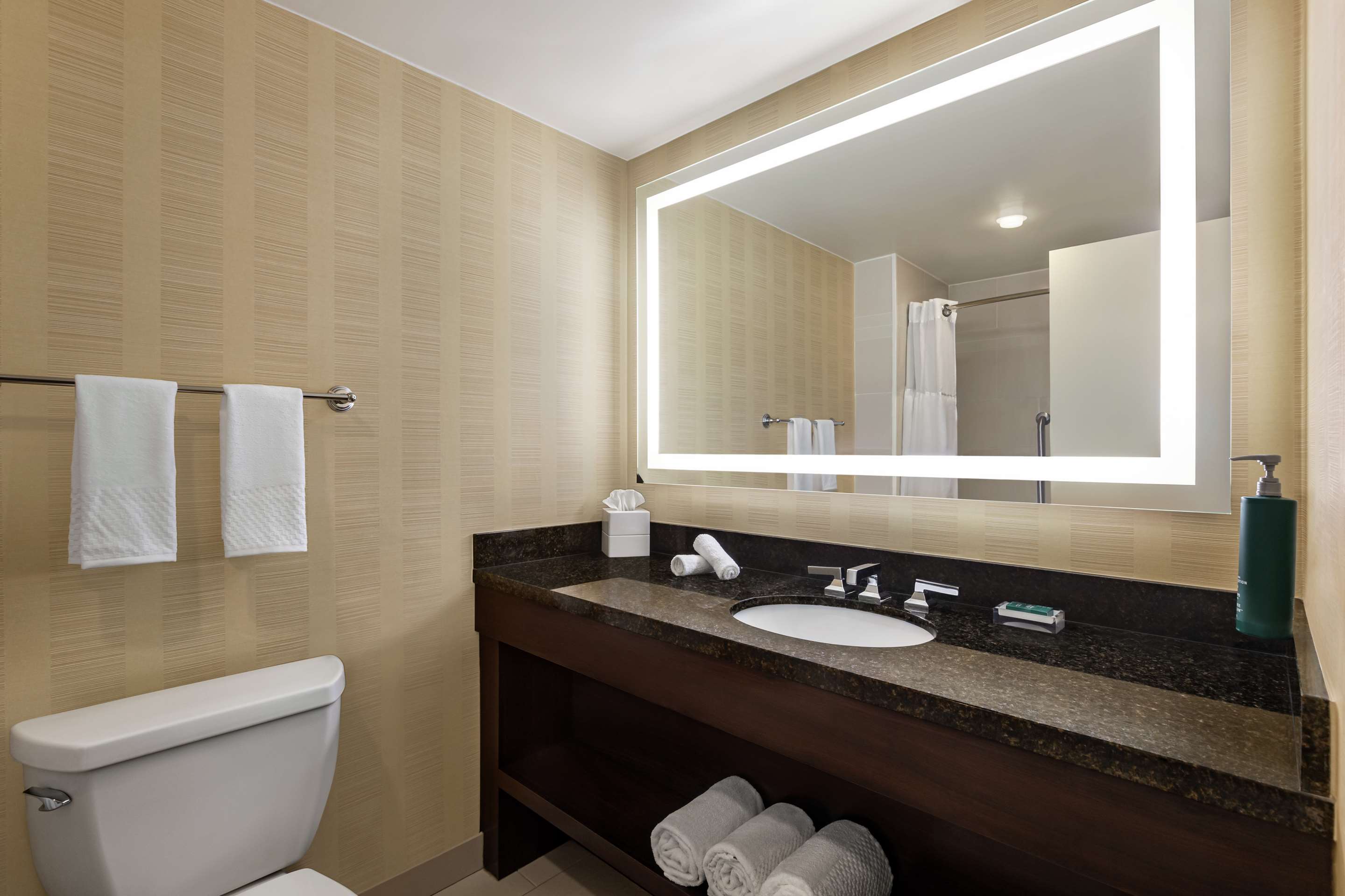 Guest room bath