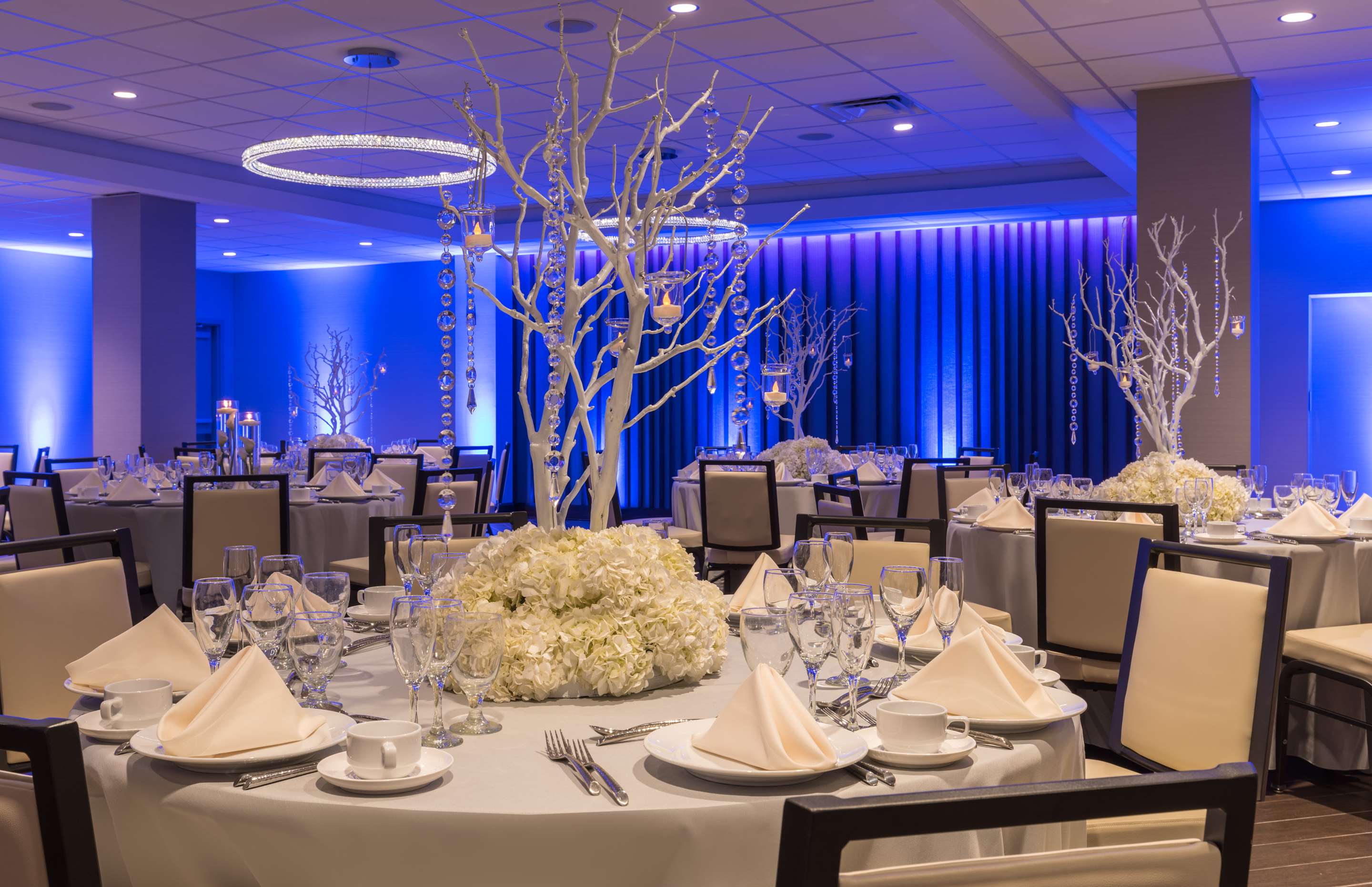 Meeting Room | Hilton Tampa Downtown