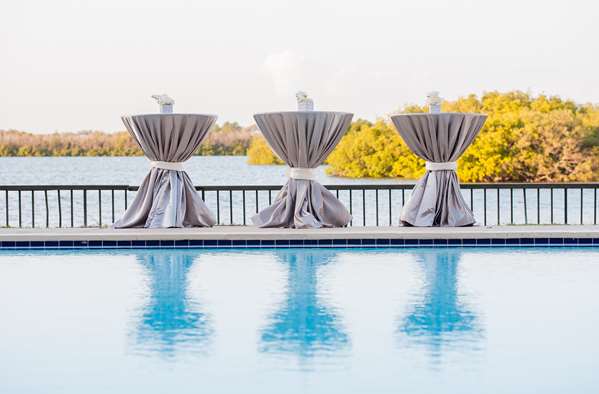 Pool - DoubleTree Suites by Hilton Hotel Tampa Bay