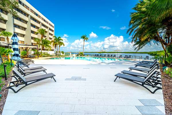Pool - DoubleTree Suites by Hilton Hotel Tampa Bay
