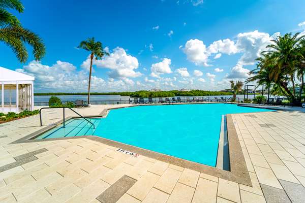 Pool - DoubleTree Suites by Hilton Hotel Tampa Bay