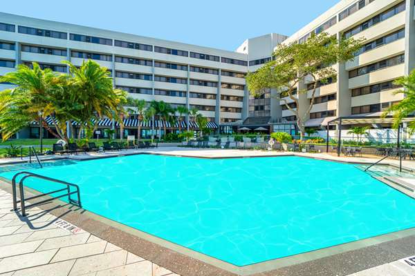 Pool - DoubleTree Suites by Hilton Hotel Tampa Bay