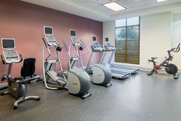 Fitness/ Exercise Room - Hilton Garden Inn Riverview - I-75, Exit 254