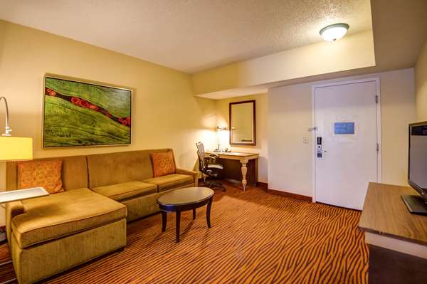  - Hilton Garden Inn Historic District Tampa - I-4, Exit 1