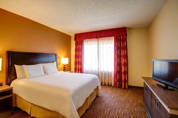  - Hilton Garden Inn Historic District Tampa - I-4, Exit 1