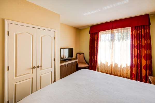  - Hilton Garden Inn Historic District Tampa - I-4, Exit 1