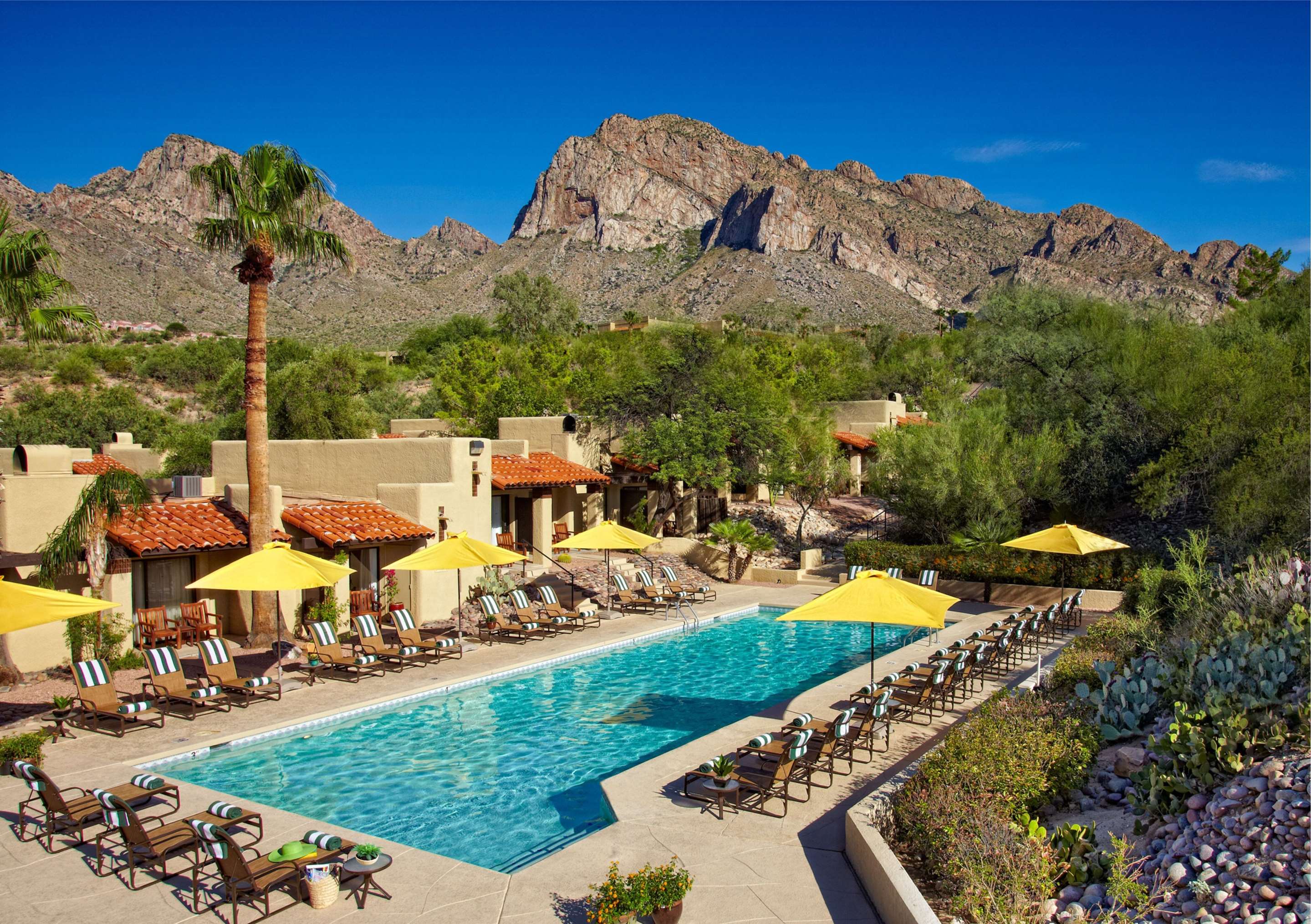 Pool | El Conquistador Tucson, A Hilton Resort
