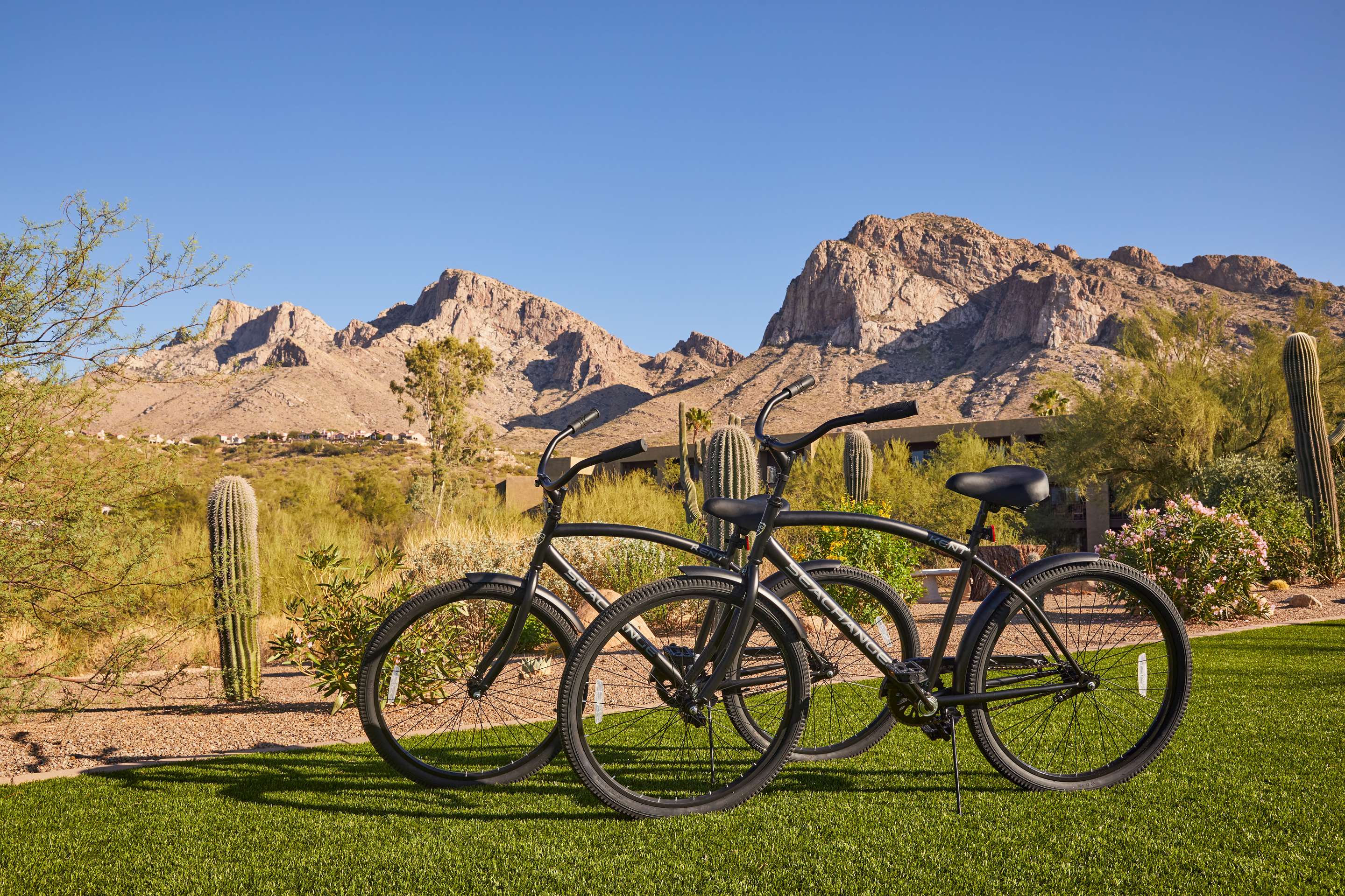 Recreational Facility | El Conquistador Tucson, A Hilton Resort