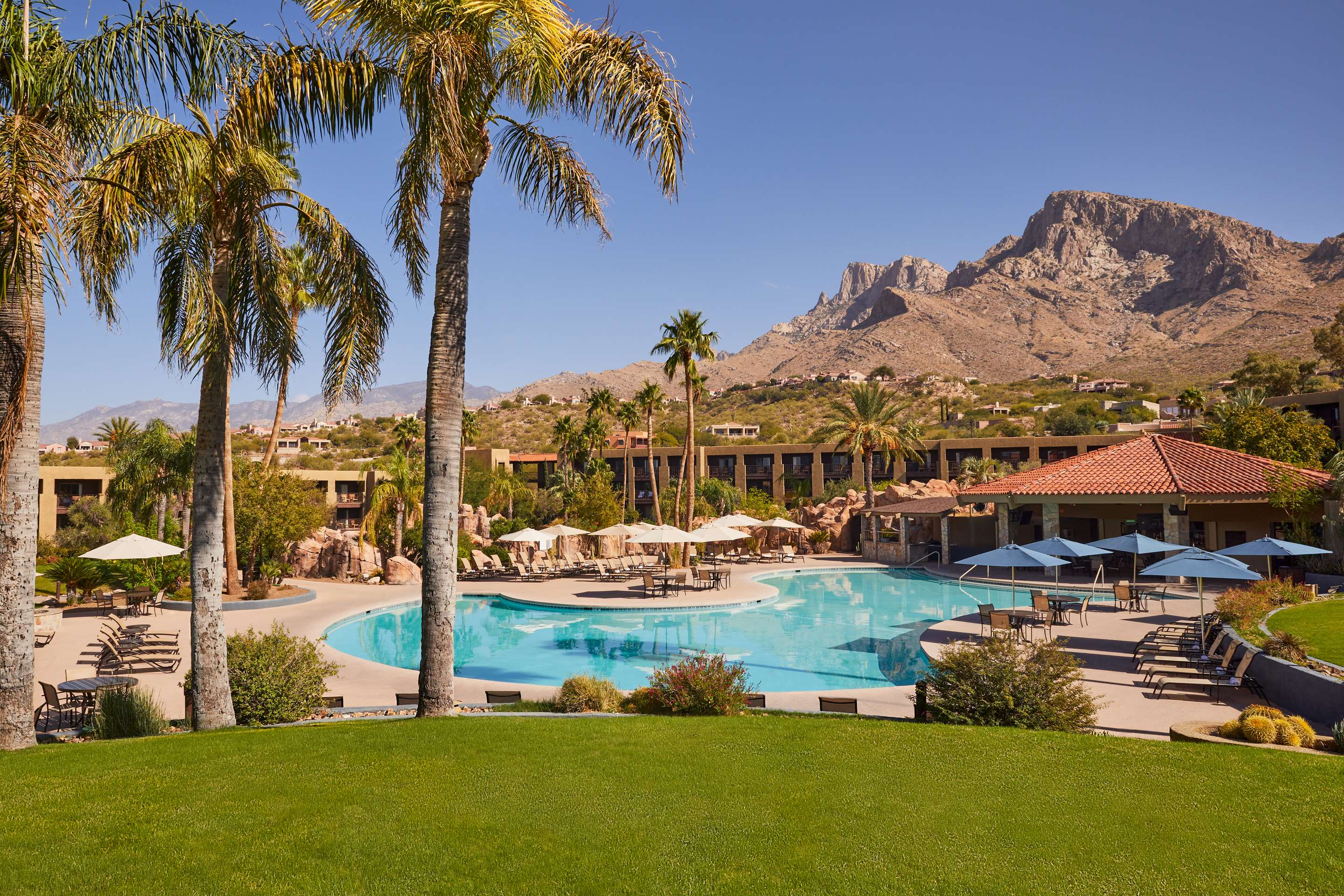 Pool | El Conquistador Tucson, A Hilton Resort