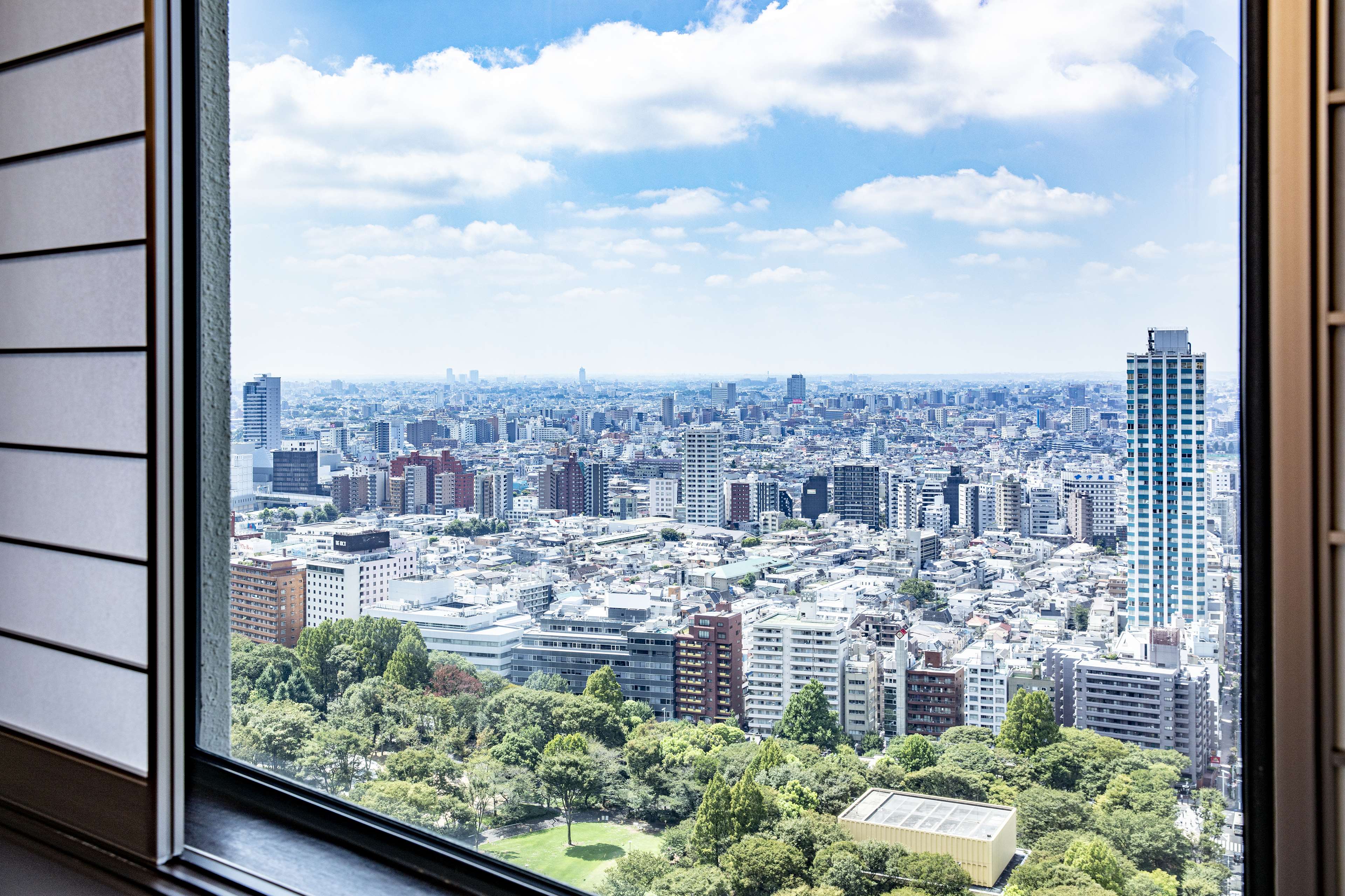 Hilton Tokyo Room Type - KING EXECUTIVE W  SOFA BED