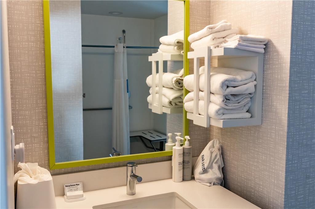 Hampton Inn &amp; Suites Leesburg-guestroom-Guest Room,Bathroom,On-Site.jpg