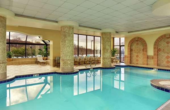 Pool - Embassy Suites Vienna