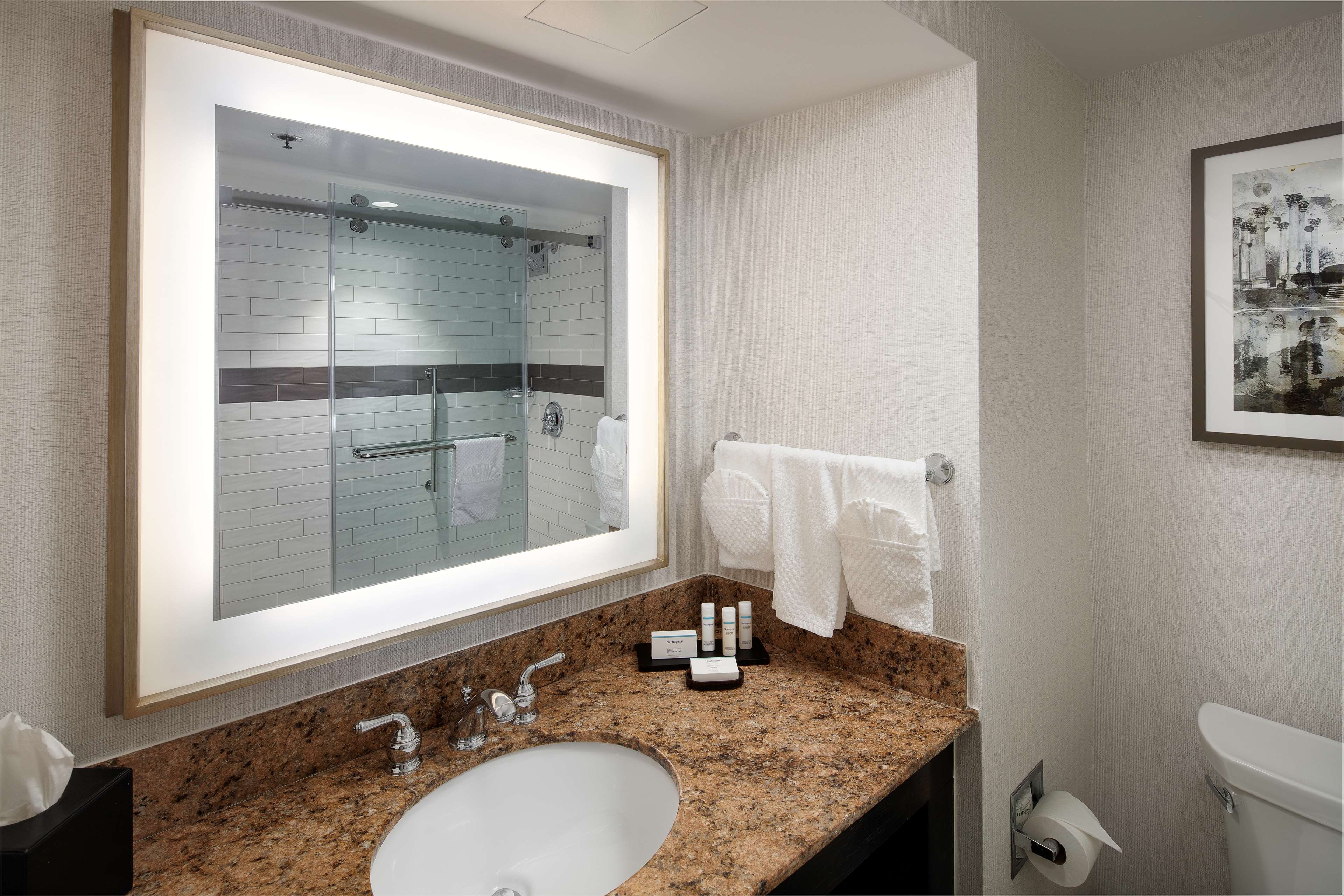 Embassy Suites by Hilton Tysons Corner Room Type - 1 KING STUDIO HEAR ACC NS