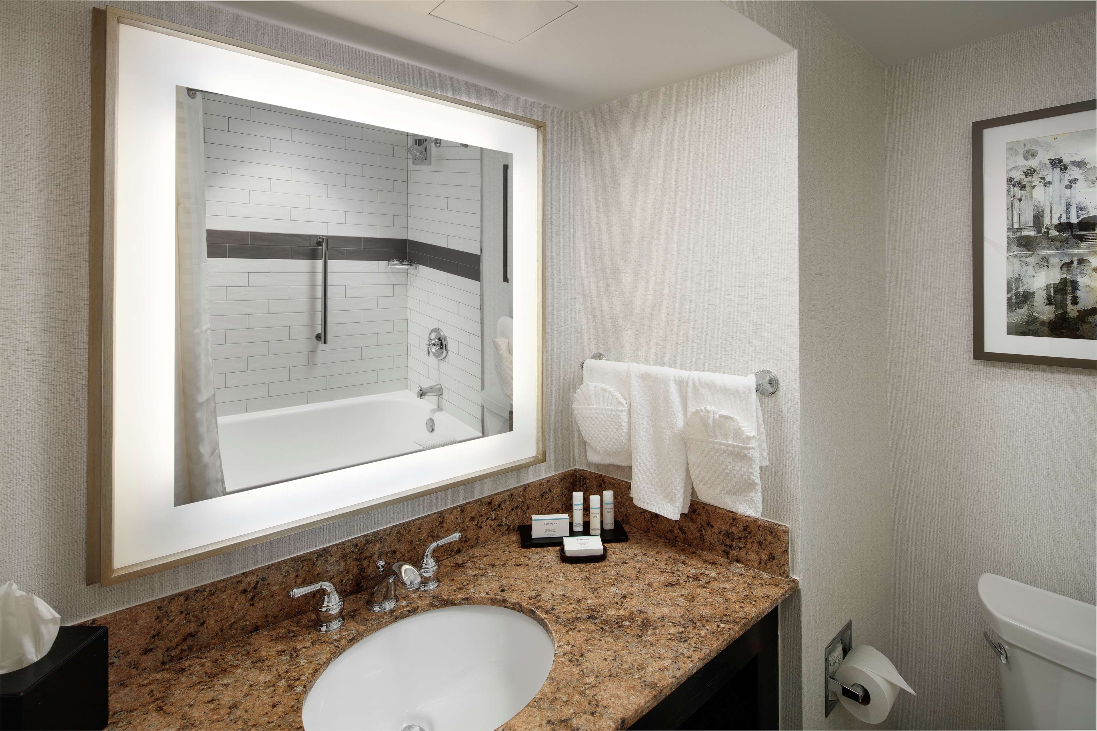 Embassy Suites by Hilton Tysons Corner Room Type - 1 KNG HGH FLR TUB