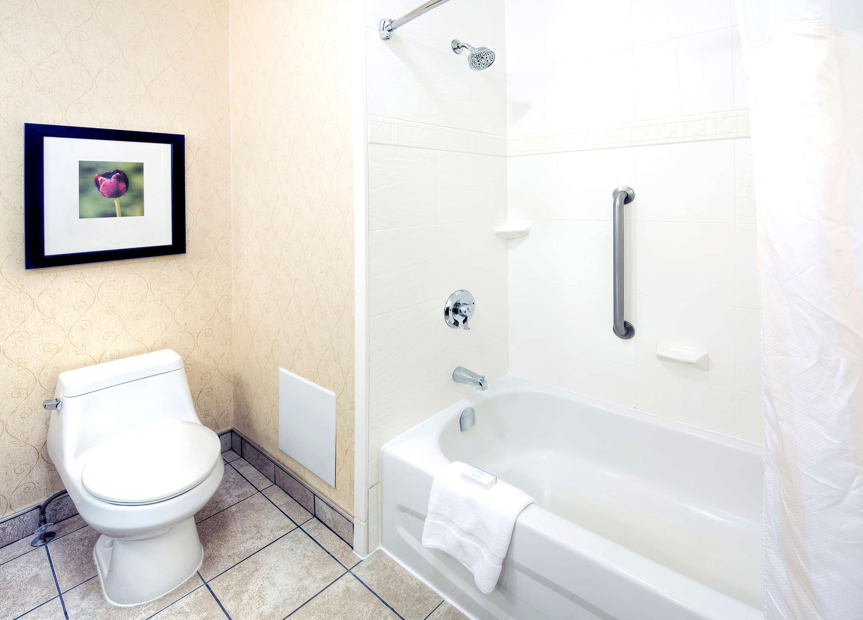 Guest room bath