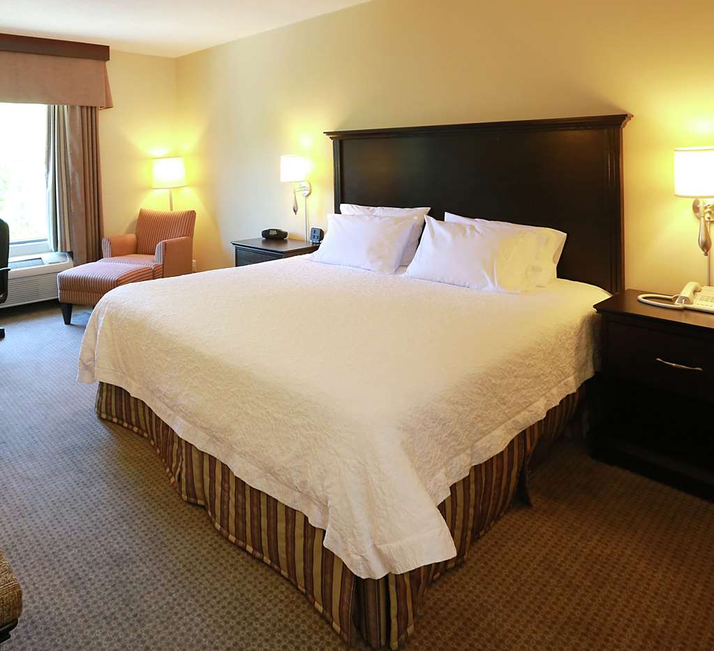 Hampton Inn & Suites by Hilton Laval Room Type - 1 KING BED NONSMOKING