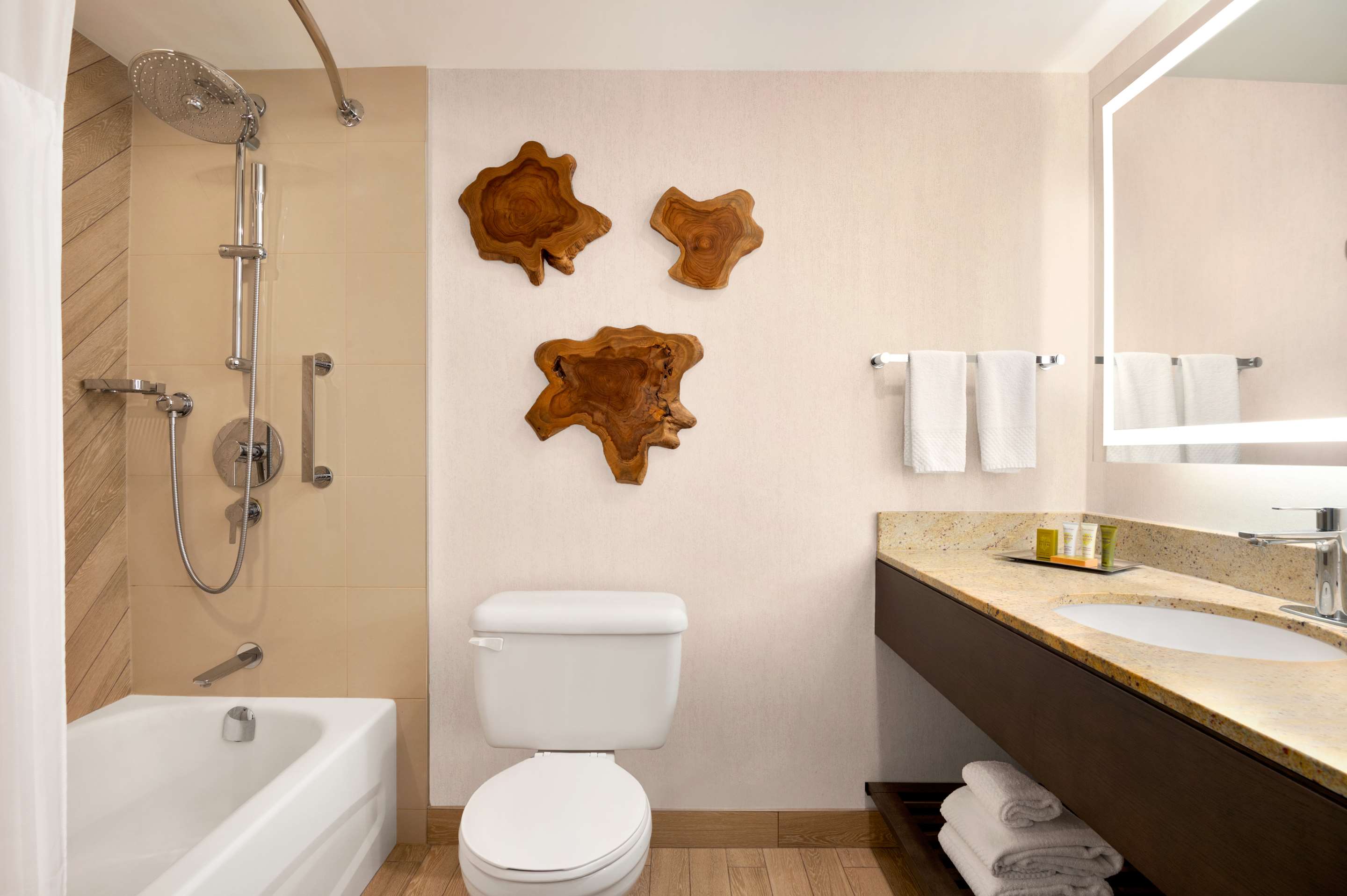 Guest room bath