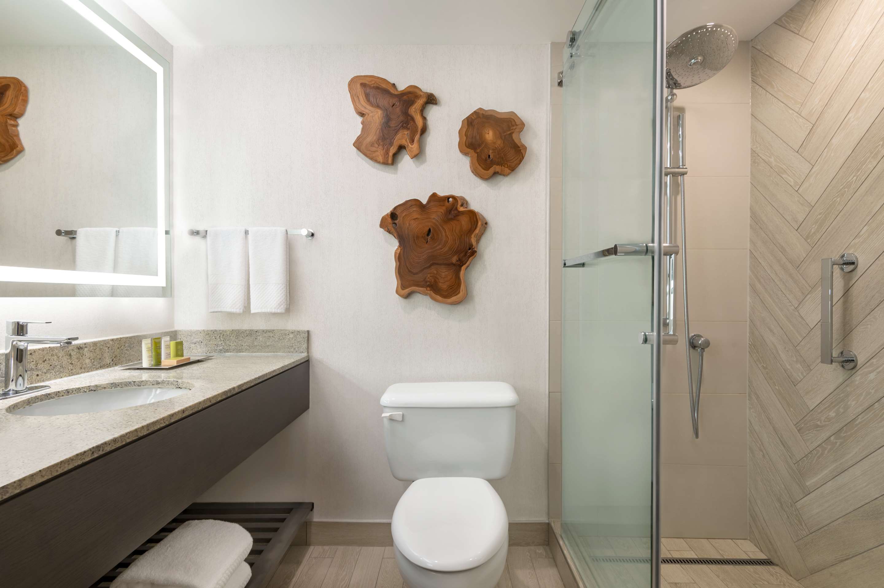 Guest room bath