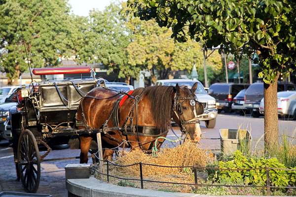 Exterior view - Embassy Suites Downtown Old Market Omaha