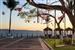MeliaPuertoVallarta-Arbol de la Familia