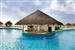 ParadisusCancun-Main Pool Swim Up Bar