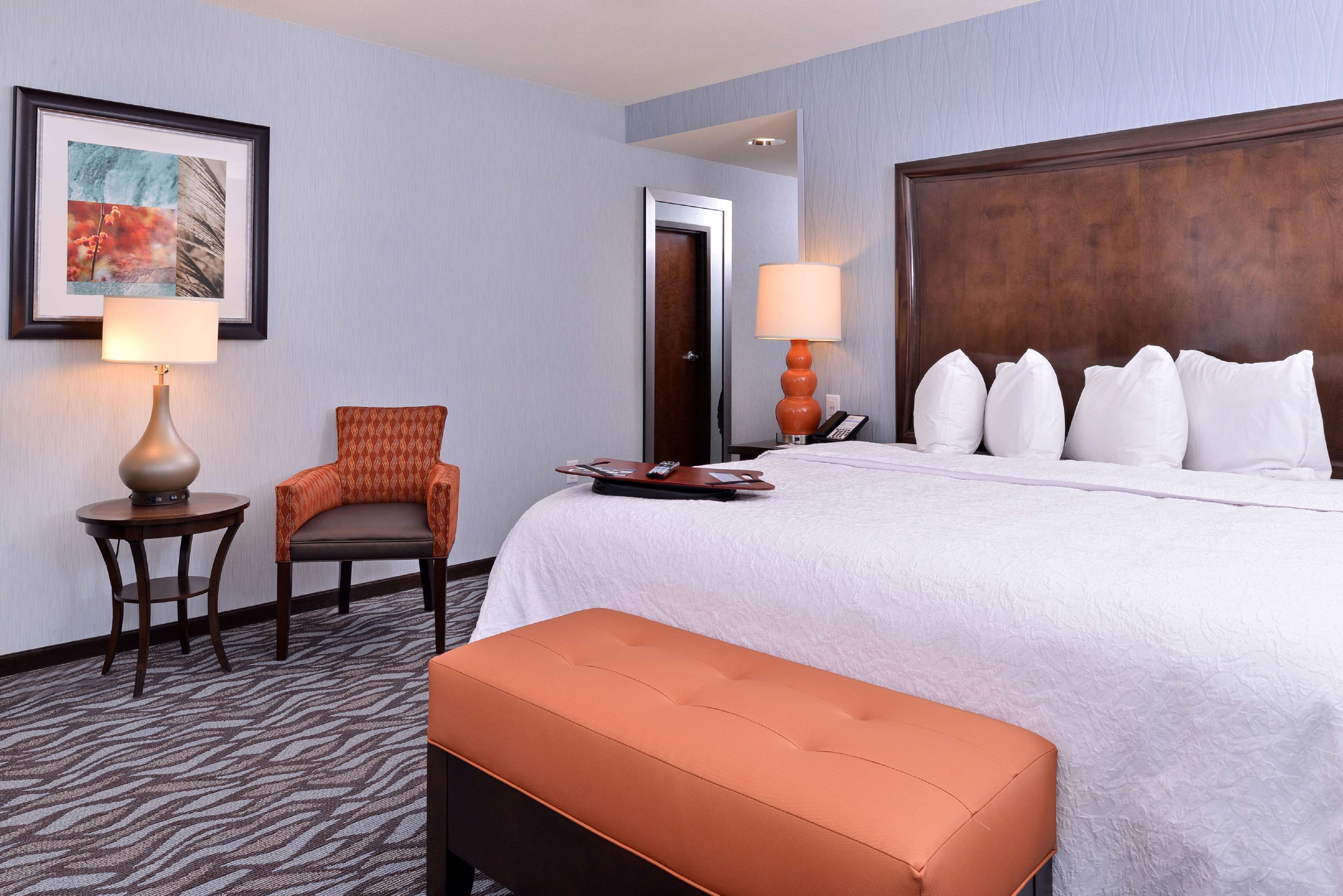 Hampton Inn Rome Room Type - 1 KNG HEARING ACC NOSMOK