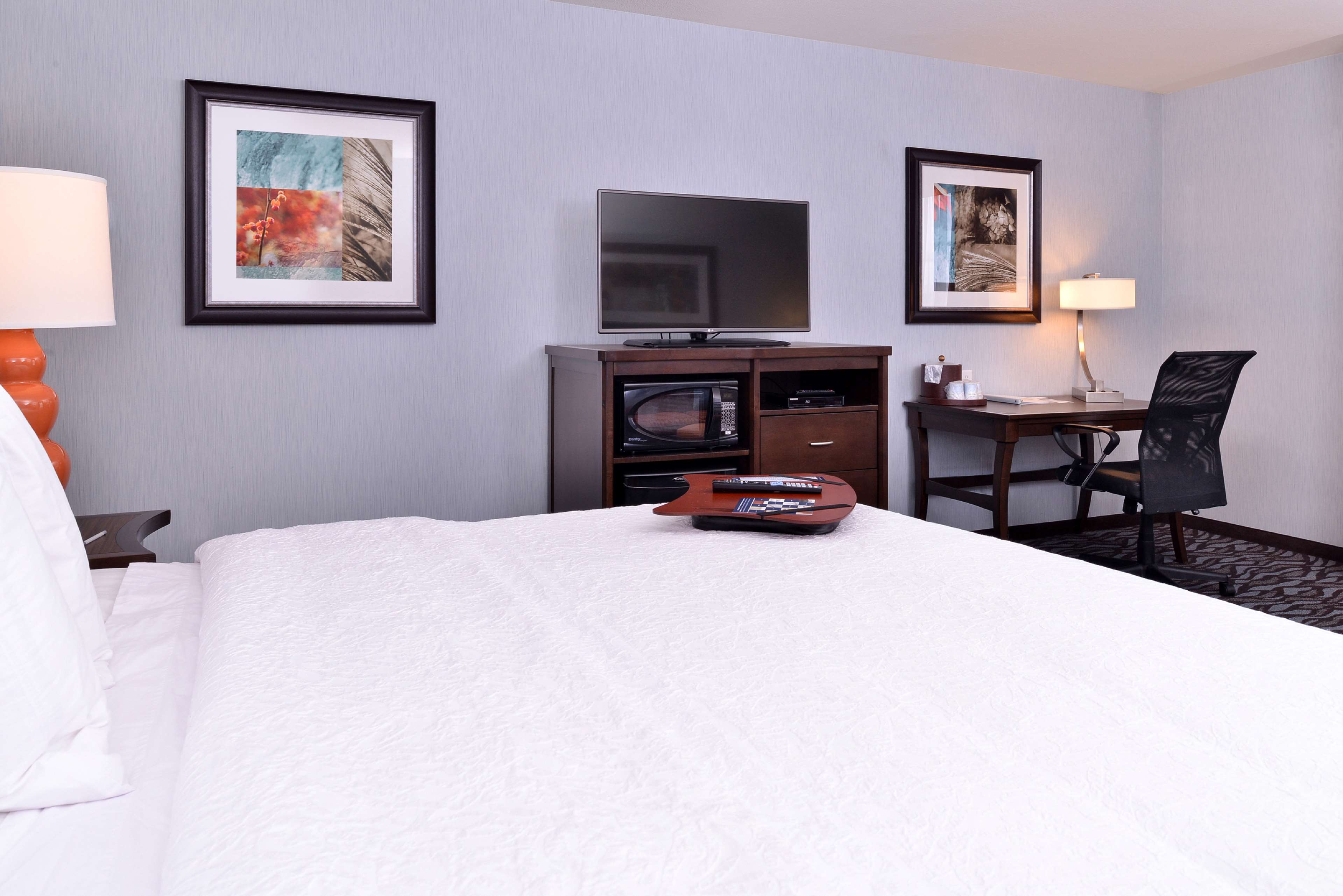 Hampton Inn Rome Room Type - 1 KN W SFBD HEARING ACC NS