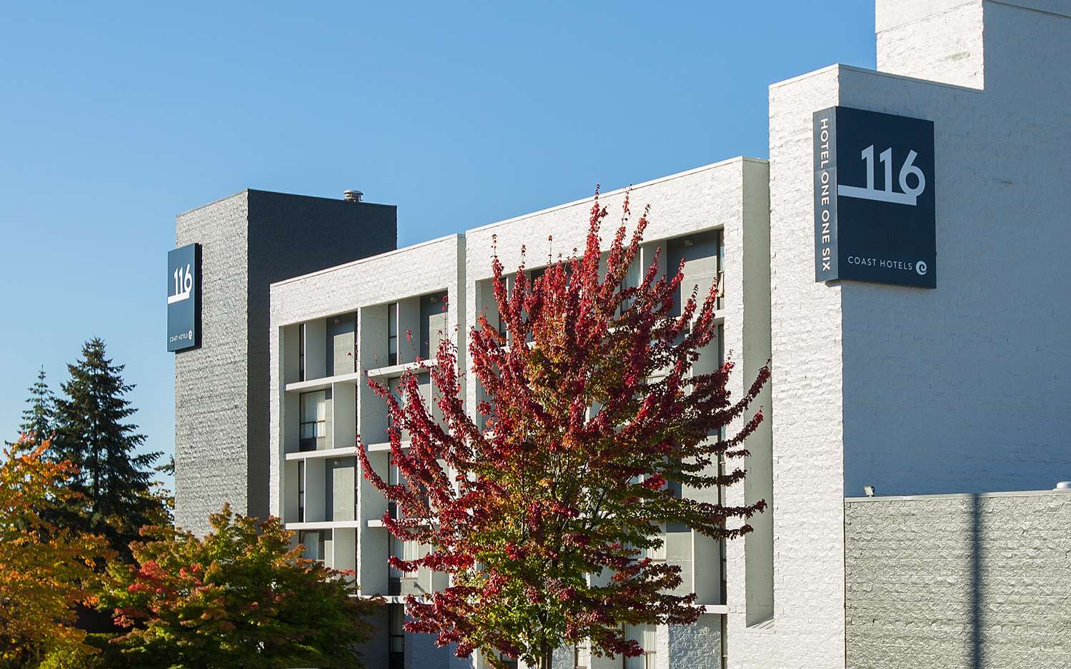 Hotel 116 Bellevue, WA See Discounts