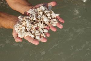  - West Wind Inn Sanibel Island