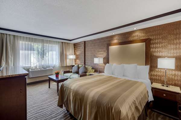  - Best Western Plus Edmonton Airport Hotel Leduc