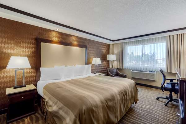  - Best Western Plus Edmonton Airport Hotel Leduc