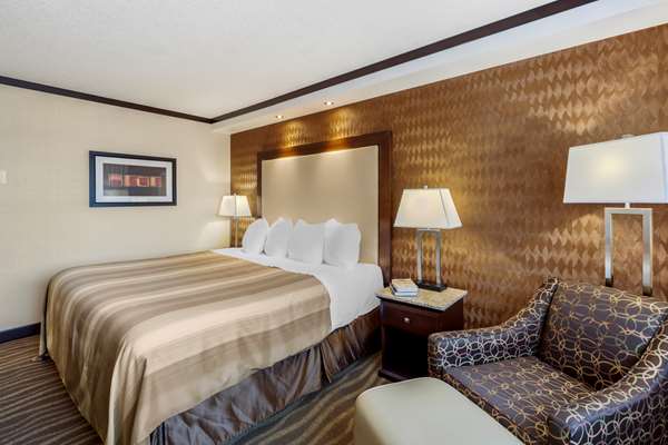  - Best Western Plus Edmonton Airport Hotel Leduc
