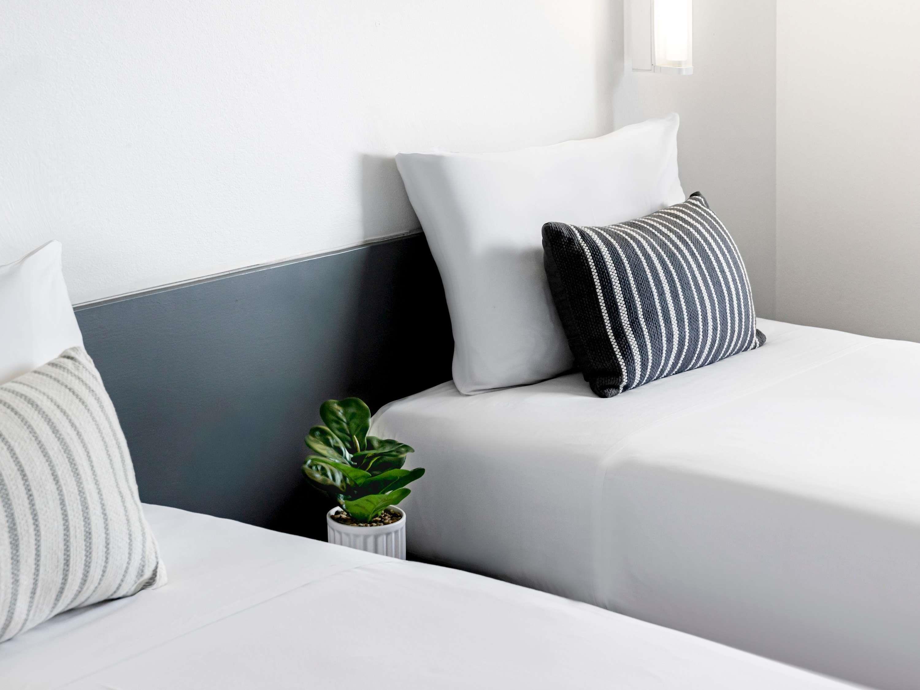 Coffs Harbour Budget Stay Room Type - Standard Room with Two Single Beds